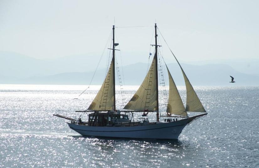 Brizet Apartments Sea View ポロニア エクステリア 写真